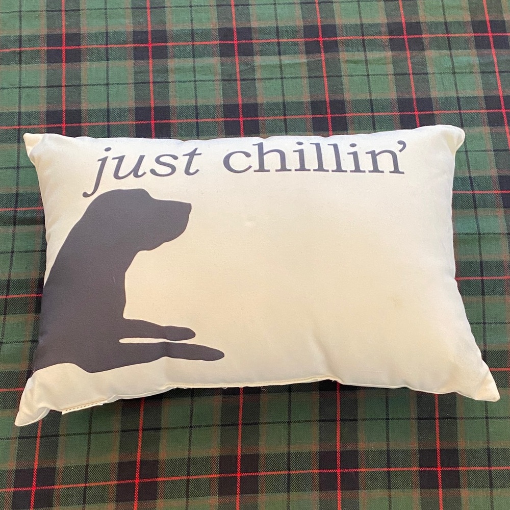 Pottery Barn Chill Dog Indoor/Outdoor Lumbar Pillow.